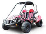 Trailmaster Blazer 200 Adult Go-Kart Buggy