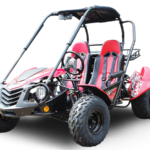 Trailmaster Blazer 200 Adult Go-Kart Buggy