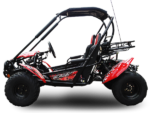 Trailmaster Blazer 200 Adult Go-Kart Buggy