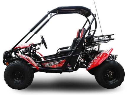 Trailmaster Blazer 200 Adult Go-Kart Buggy