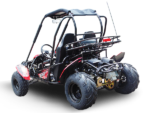 Trailmaster Blazer 200 Adult Go-Kart Buggy