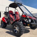 Trailmaster Blazer 200EX EFI Adult Go-Kart Buggy