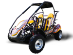 Trailmaster Blazer 200R Youth Go-Kart Buggy