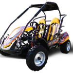 Trailmaster Blazer 200R Youth Go-Kart Buggy