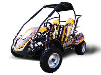 Trailmaster Blazer 200R Youth Go-Kart Buggy
