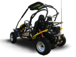 Trailmaster Blazer 200R Youth Go-Kart Buggy
