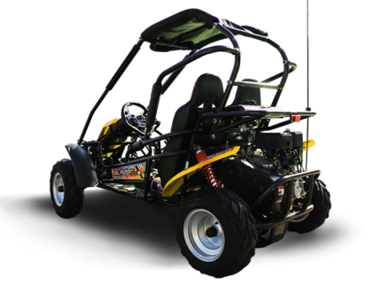 Trailmaster Blazer 200R Youth Go-Kart Buggy