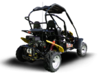 Trailmaster Blazer 200R Youth Go-Kart Buggy