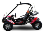 Trailmaster Blazer 200X Adult Go-Kart Buggy