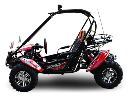 Trailmaster Blazer 200X Adult Go-Kart Buggy