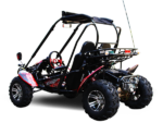 Trailmaster Blazer 200X Adult Go-Kart Buggy