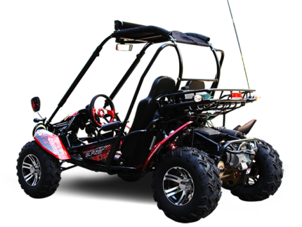 Trailmaster Blazer 200X Adult Go-Kart Buggy