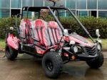 Trailmaster Blazer4 200EX EFI Adult Go-Kart Buggy