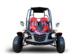 Trailmaster Blazer4 200X Adult Go-Kart Buggy