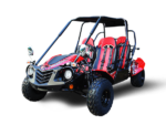 Trailmaster Blazer4 200X Adult Go-Kart Buggy