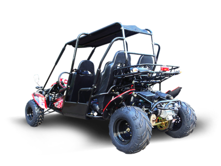 Trailmaster Blazer4 200X Adult Go-Kart Buggy
