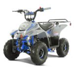 Tao Tao Boulder 110 Children's ATV, 4-Stroke 110cc