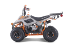Tao Tao Boulder 110 Children's ATV, 4-Stroke 110cc