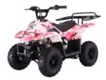 Tao Tao B110 Children's ATV, 4-Stroke 110cc