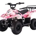 Tao Tao B110 Children's ATV, 4-Stroke 110cc