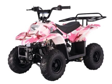 Tao Tao B110 Children's ATV, 4-Stroke 110cc