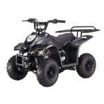 Tao Tao B110 Children's ATV, 4-Stroke 110cc