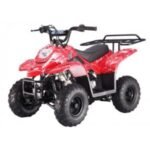 Tao Tao B110 Children's ATV, 4-Stroke 110cc