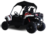 TrailMaster Challenger 300E EFI UTV Side By Side