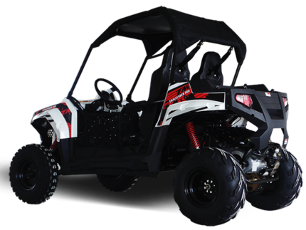 TrailMaster Challenger 300E EFI UTV Side By Side