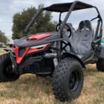 Trailmaster Cheetah 200E EFI Adult Go-Kart Buggy