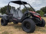 Trailmaster Cheetah 200E EFI Adult Go-Kart Buggy