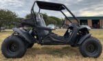 Trailmaster Cheetah 200E EFI Adult Go-Kart Buggy