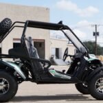 Trailmaster Cheetah 200EX EFI Adult Go-Kart Buggy