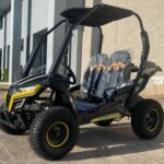 Trailmaster Cheetah 6 Children's Go-Kart Buggy, 4-Stroke 163cc
