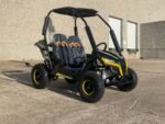 Trailmaster Cheetah 6 Children's Go-Kart Buggy, 4-Stroke 163cc