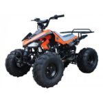 Tao Tao G125 Children's ATV, 4-Stroke 125cc