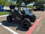 Trailmaster Cheetah 300 Pro Adult Go-Kart Buggy