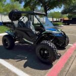 Trailmaster Cheetah 300 Pro Adult Go-Kart Buggy