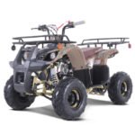 Tao Tao D125 Children's ATV, 4-Stroke 125cc
