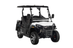 Aodes Trailcross Deluxe Electric Golf Cart - Street Legal