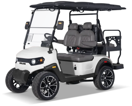 F 4P Electric Golf Cart