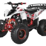 Trailmaster F125 Children's ATV, 4-Stroke 125cc
