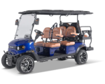 F 6P Electric Golf Cart