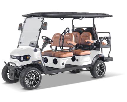F 6P Electric Golf Cart