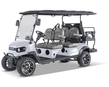 F 6P Electric Golf Cart
