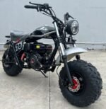Trailmaster Hurricane 200 Pro Offroad Mini Bike