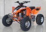 EGL Mad Max 250 Adult Quad ATV