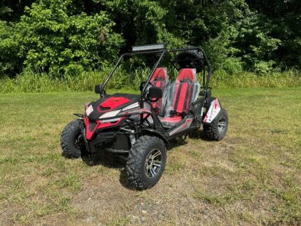 Trailmaster Cheetah 200X Adult Go-Kart Buggy