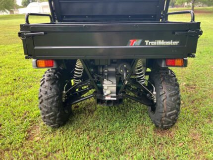 Trailmaster Taurus 450 UTV Golf Cart 450cc Engine