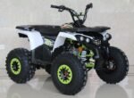 ACE TH125 Tomahawk Children's ATV, 4-Stroke 125cc